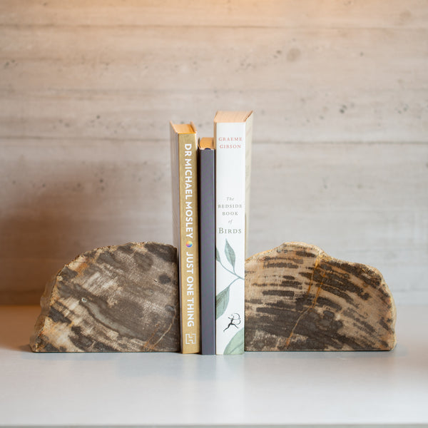 Petrified Wood Bookends | Set (F)