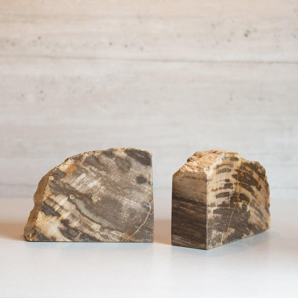 Petrified Wood Bookends | Set (F)