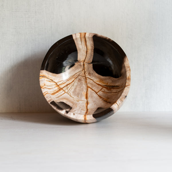 Petrified Wood | Deep Bowl | A