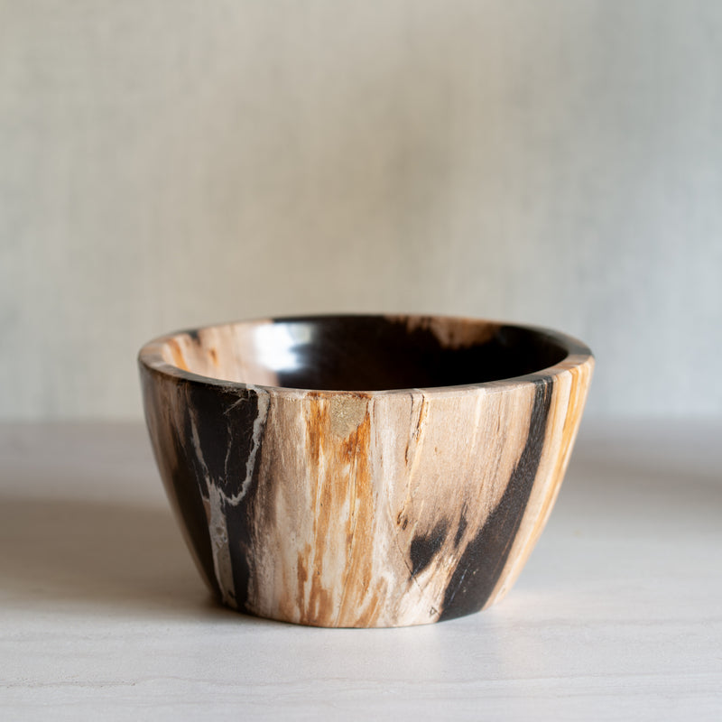 Petrified Wood | Deep Bowl | B