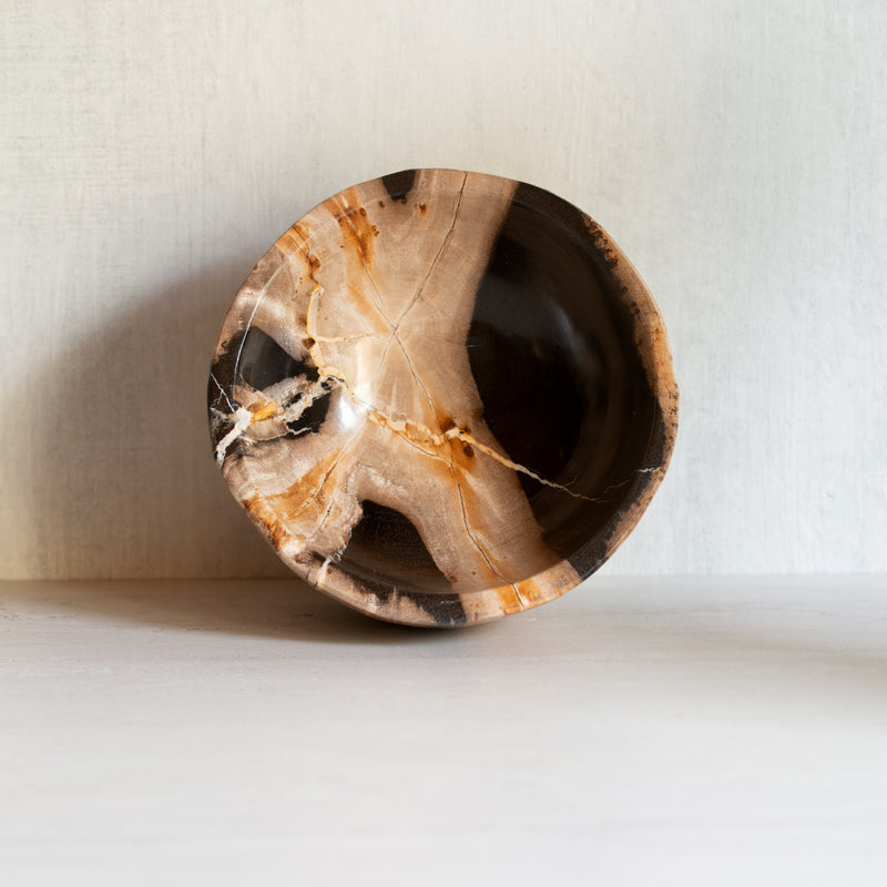 Petrified Wood | Deep Bowl | B