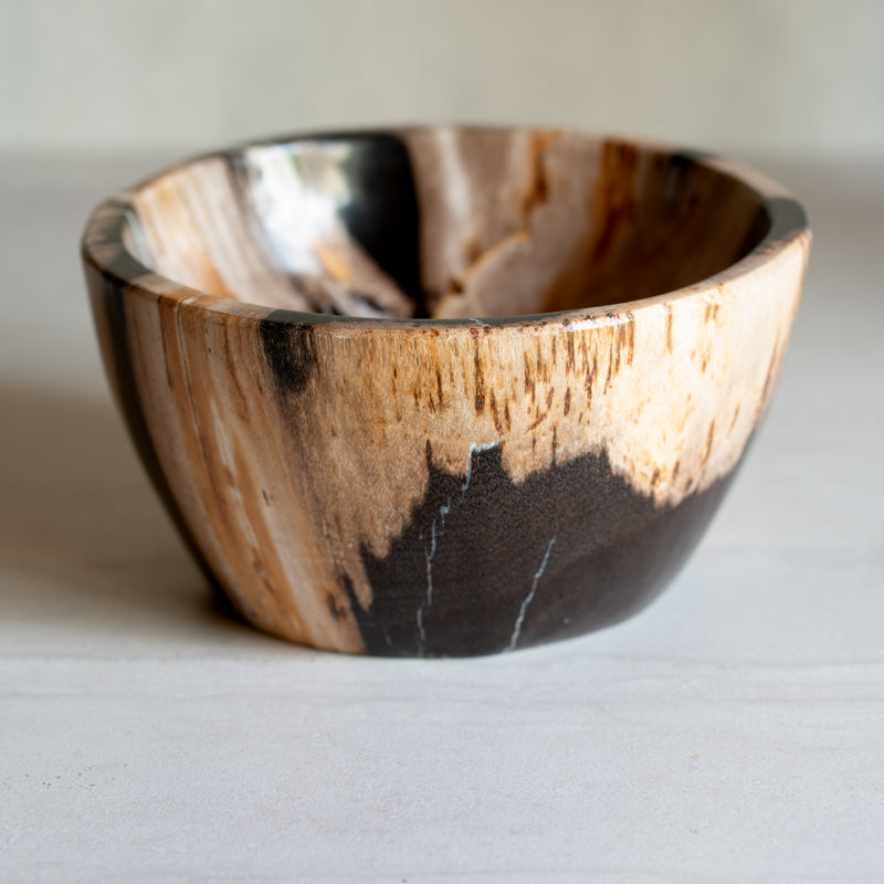 Petrified Wood | Deep Bowl | B