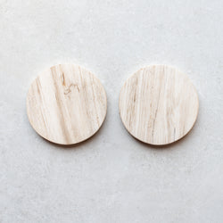 Petrified Wood Coaster Pair | A