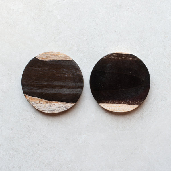 Petrified Wood Coaster Pair | B