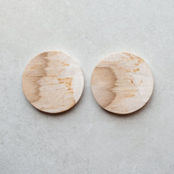 Petrified Wood Coaster Pair | C