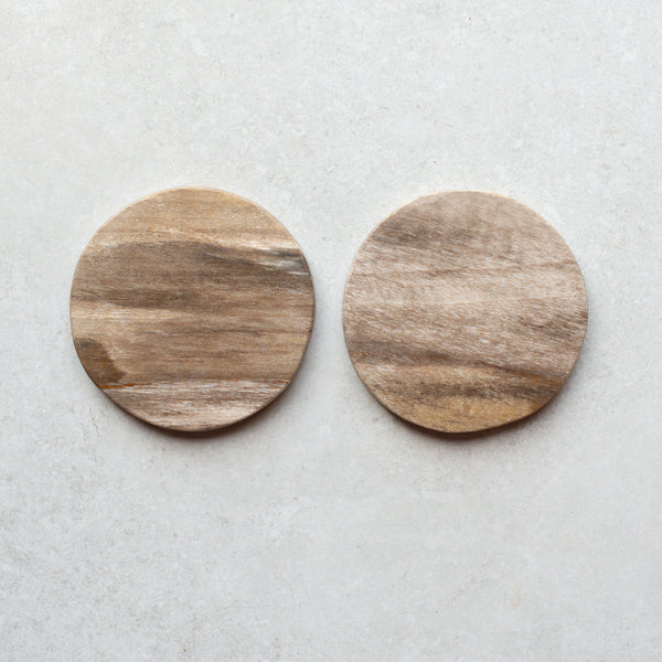 Petrified Wood Coaster Pair | F