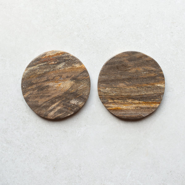 Petrified Wood Coaster Pair | H