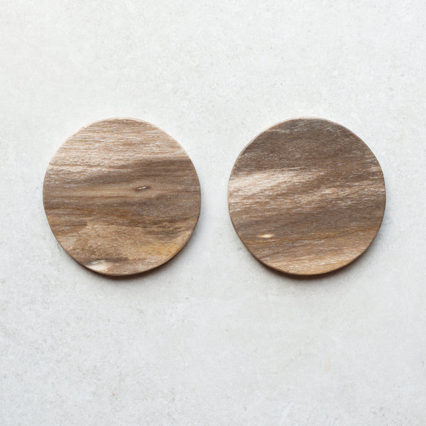 Petrified Wood Coaster Pair | I