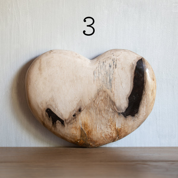 Petrified Wood | Large Love Heart (3)