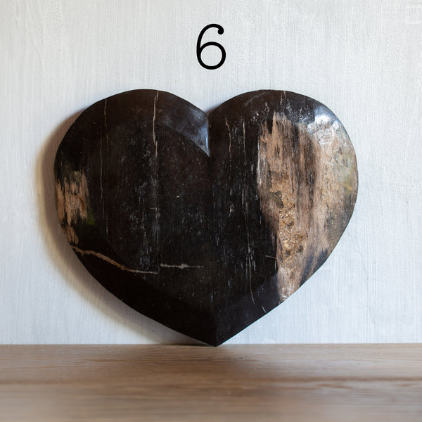 Petrified Wood | Large Love Heart (6)