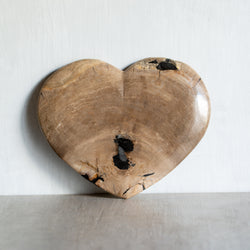 Petrified Wood | Love Heart (13)