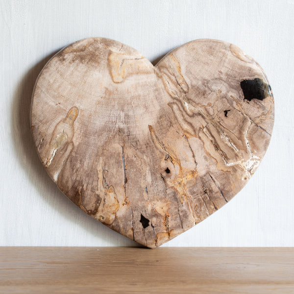 Petrified Wood | Large Love Heart (2)