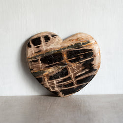 Petrified Wood | Large Love Heart (6)