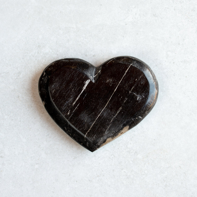 Petrified Wood Love Hearts | Small
