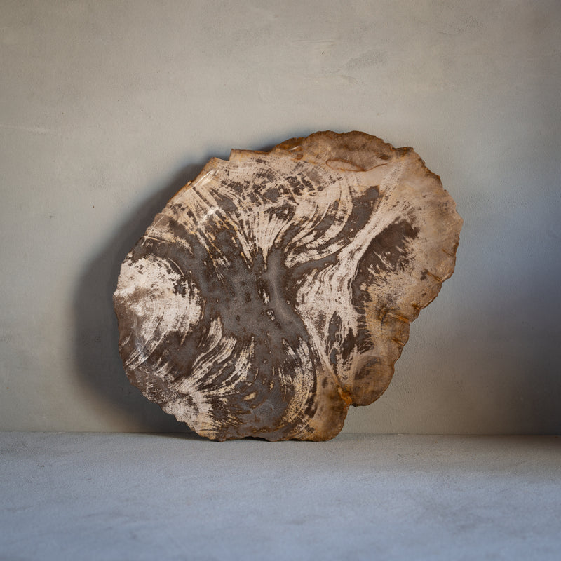 Petrified Wood Plate | Example '8'