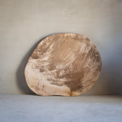 Petrified Wood Plate | Example '9'