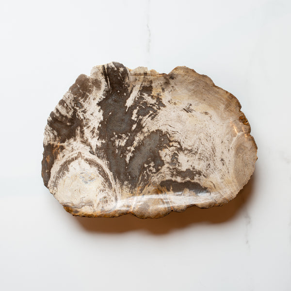 Petrified Wood Plate | 'G'