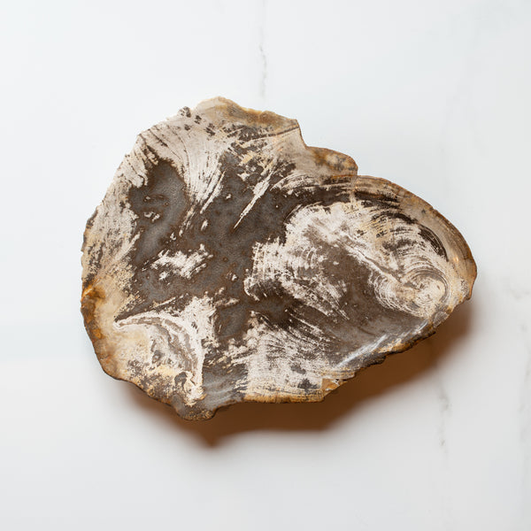 Petrified Wood Plate | 'H'