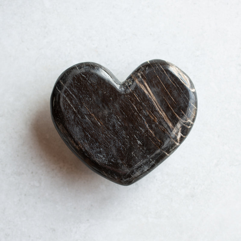 Petrified Wood Love Hearts | Small