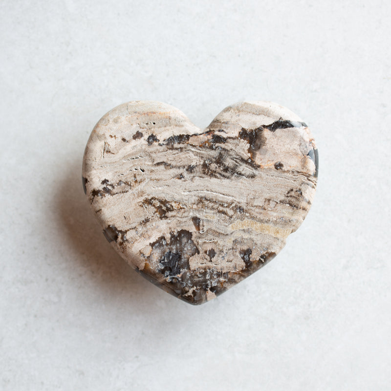 Petrified Wood Love Hearts | Small