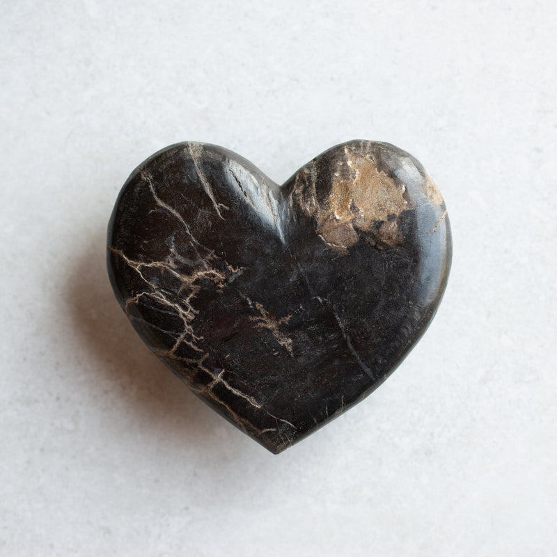 Petrified Wood Love Hearts | Small