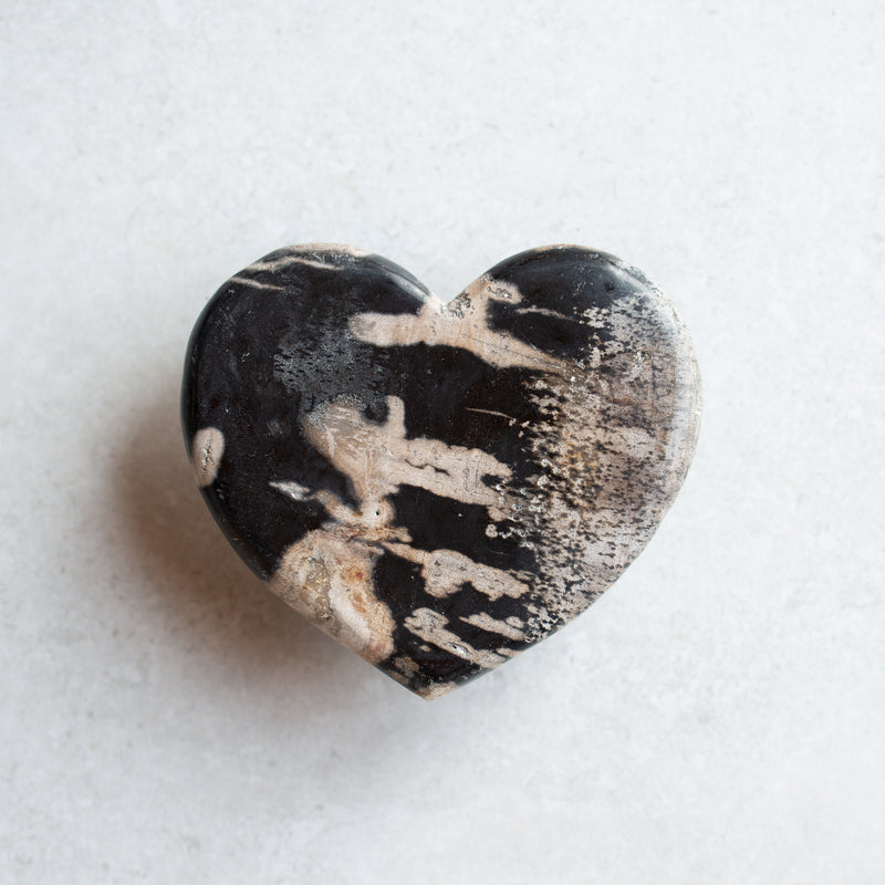 Petrified Wood Love Hearts | Small