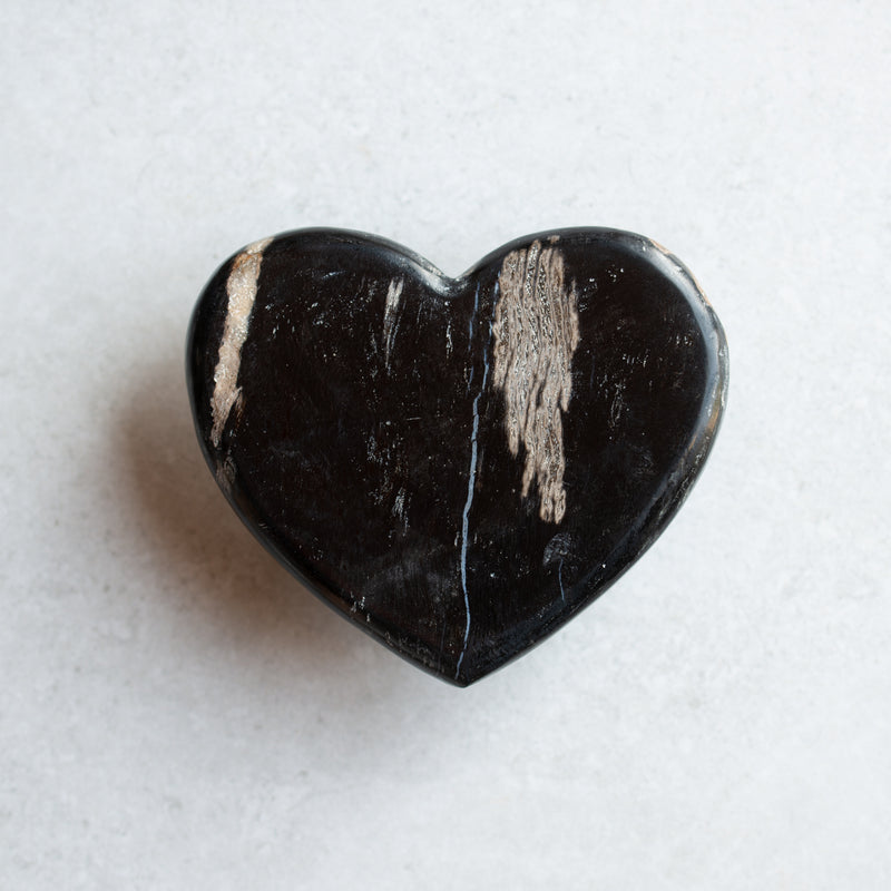 Petrified Wood Love Hearts | Small