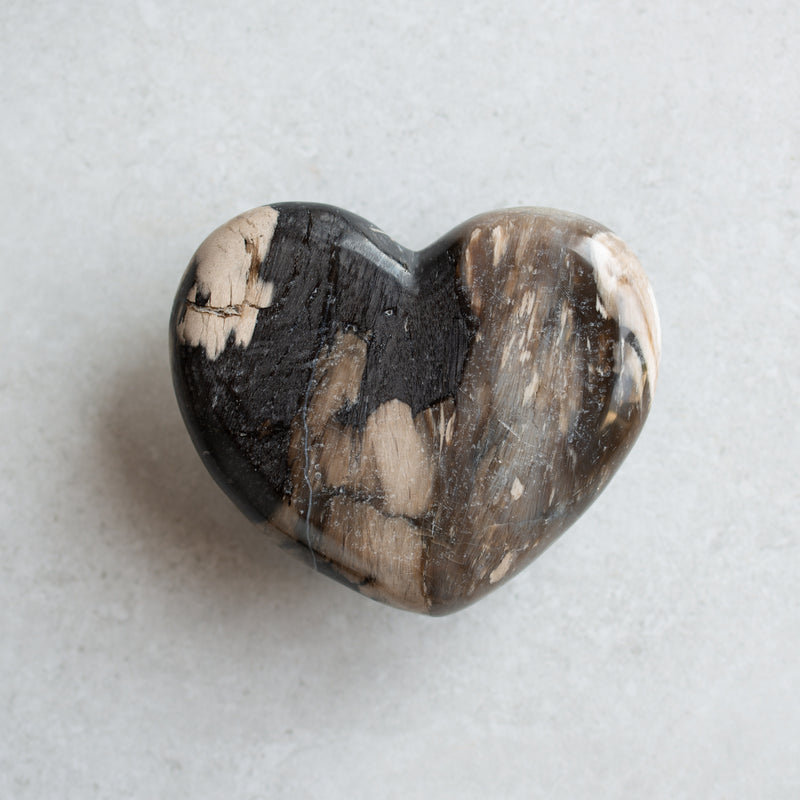 Petrified Wood Love Hearts | Small