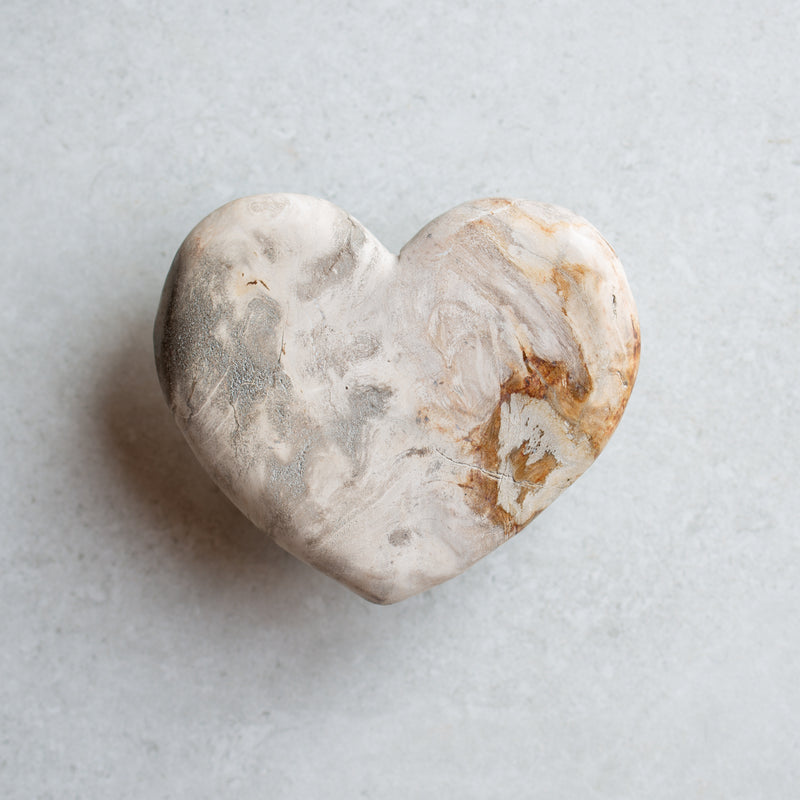 Petrified Wood Love Hearts | Small