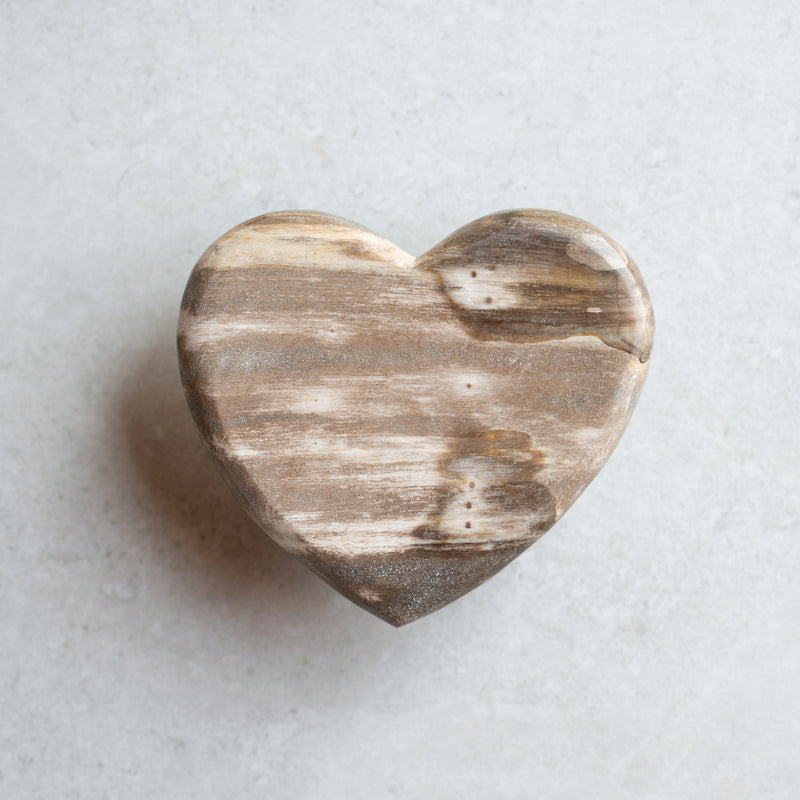 Petrified Wood Love Hearts | Small