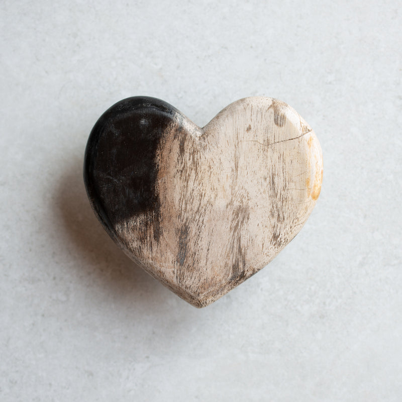 Petrified Wood Love Hearts | Small