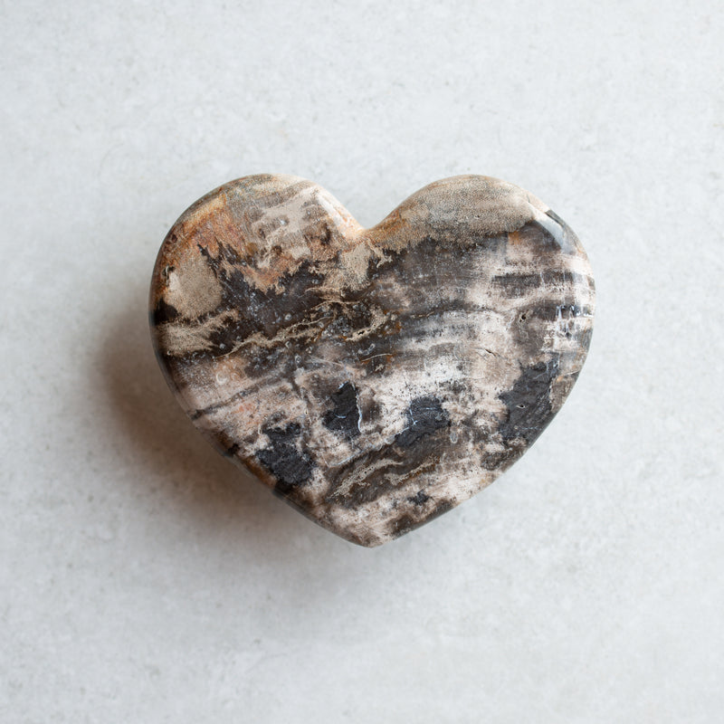 Petrified Wood Love Hearts | Small