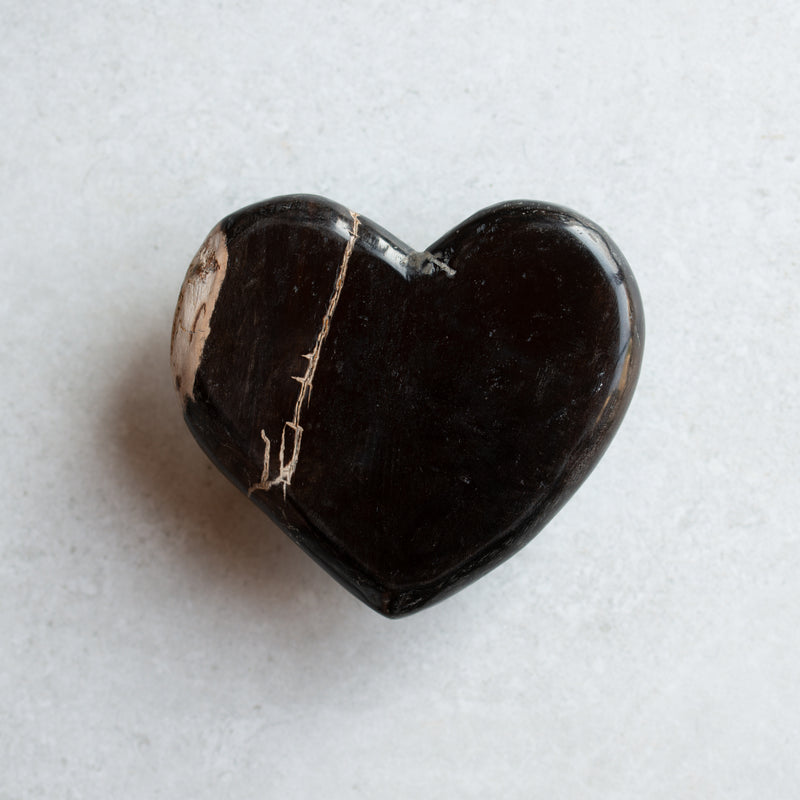 Petrified Wood Love Hearts | Small