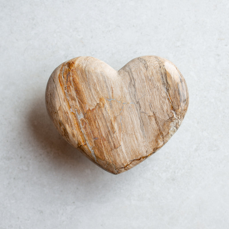 Petrified Wood Love Hearts | Small