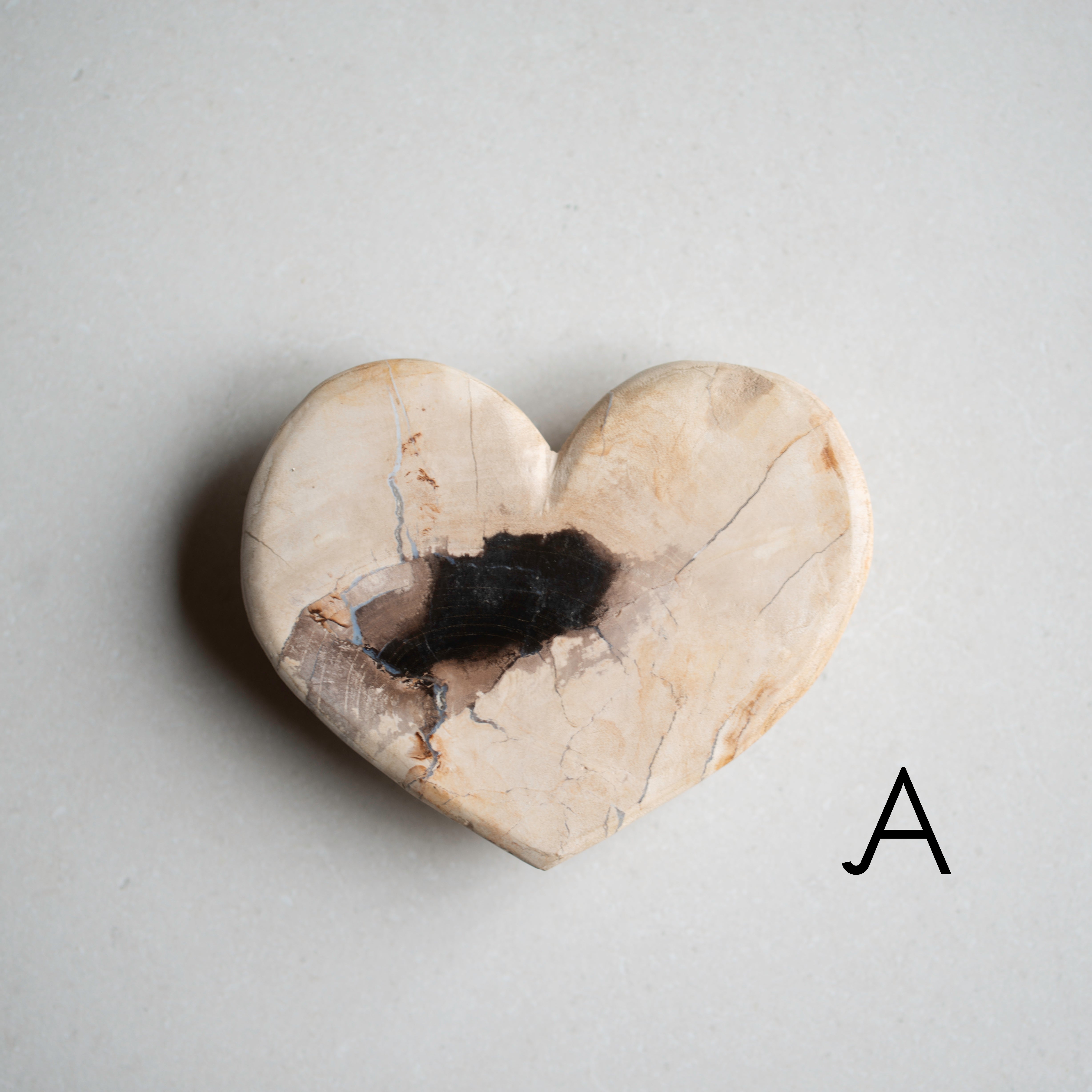 Petrified Wood Love Hearts | Small