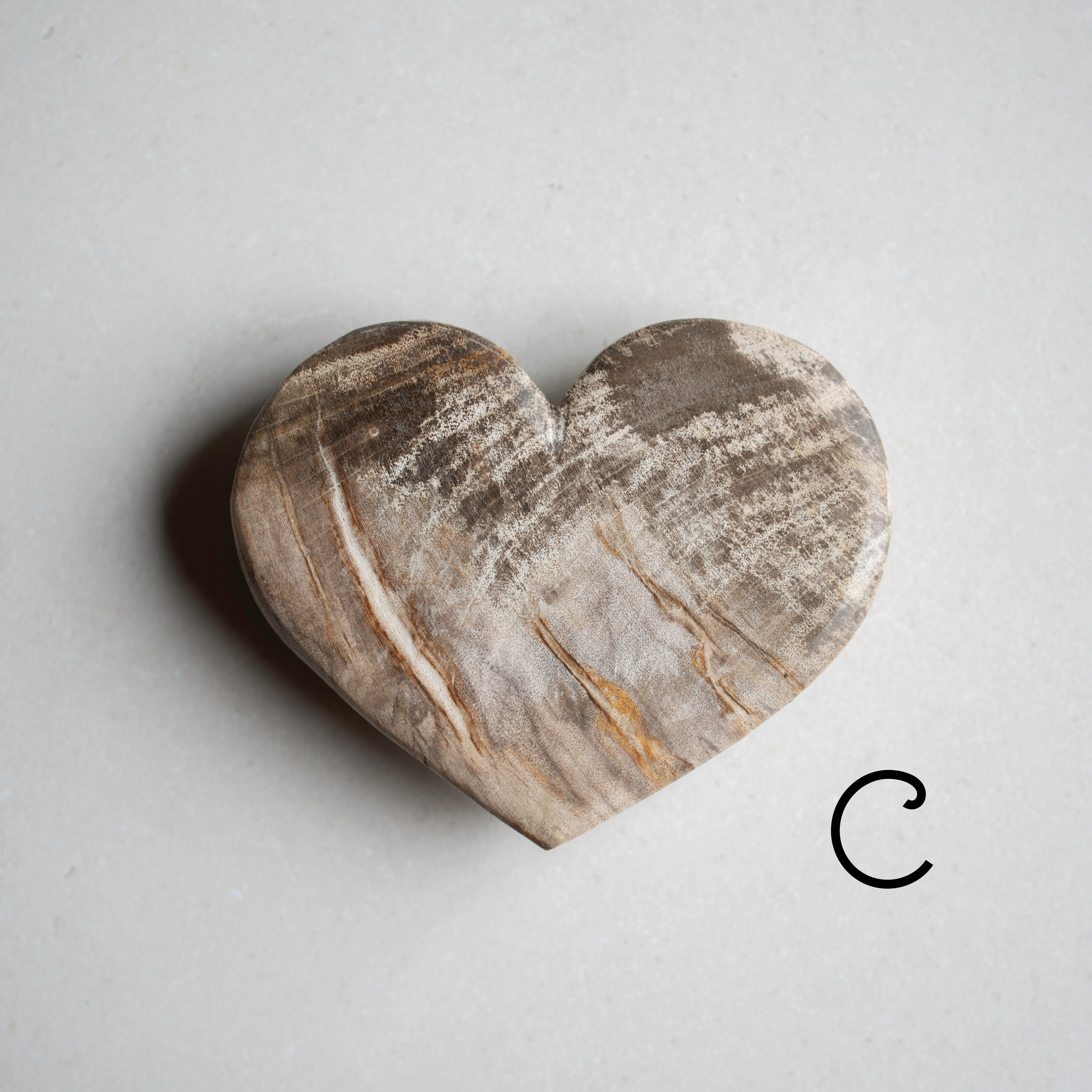 Petrified Wood Love Hearts | Small