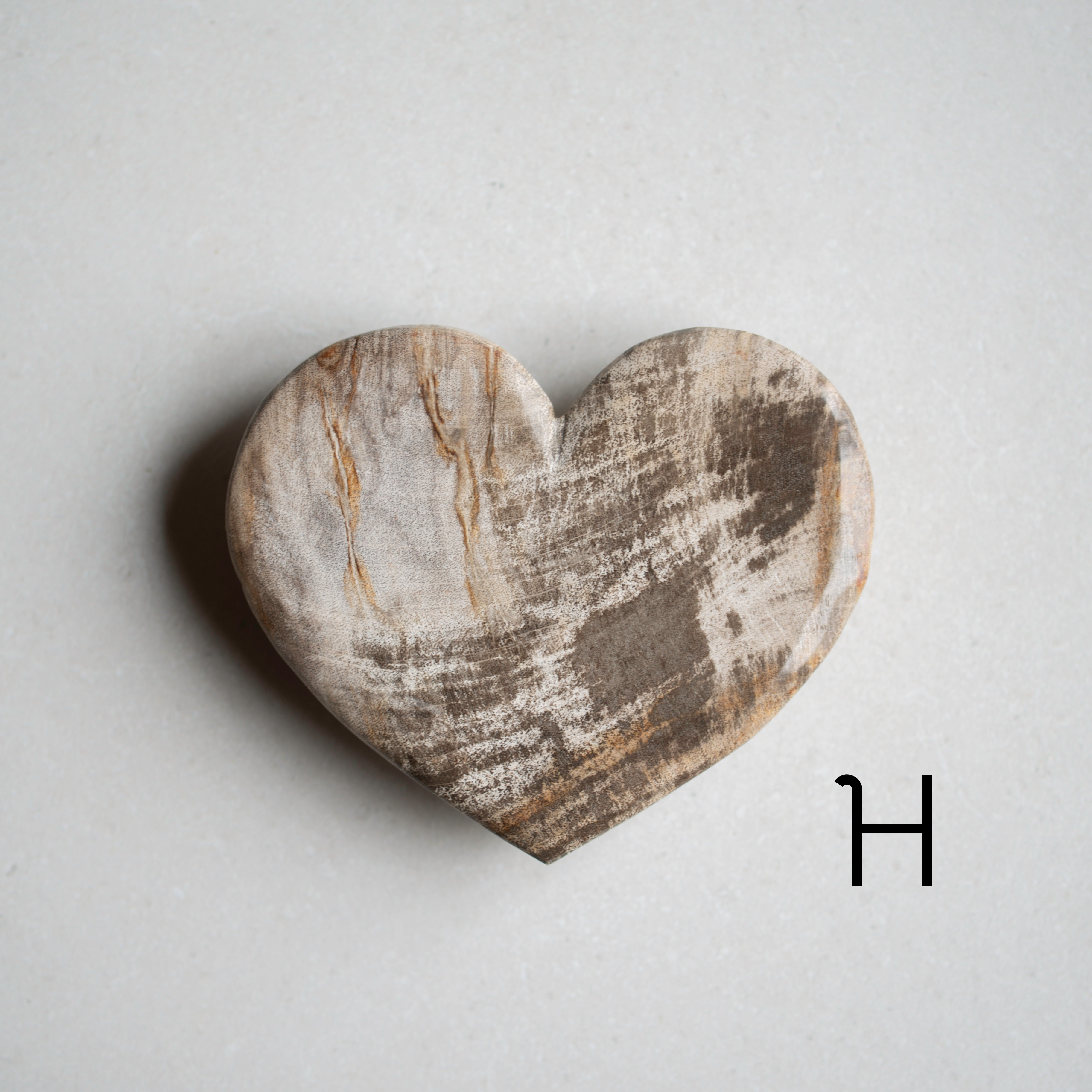 Petrified Wood Love Hearts | Small