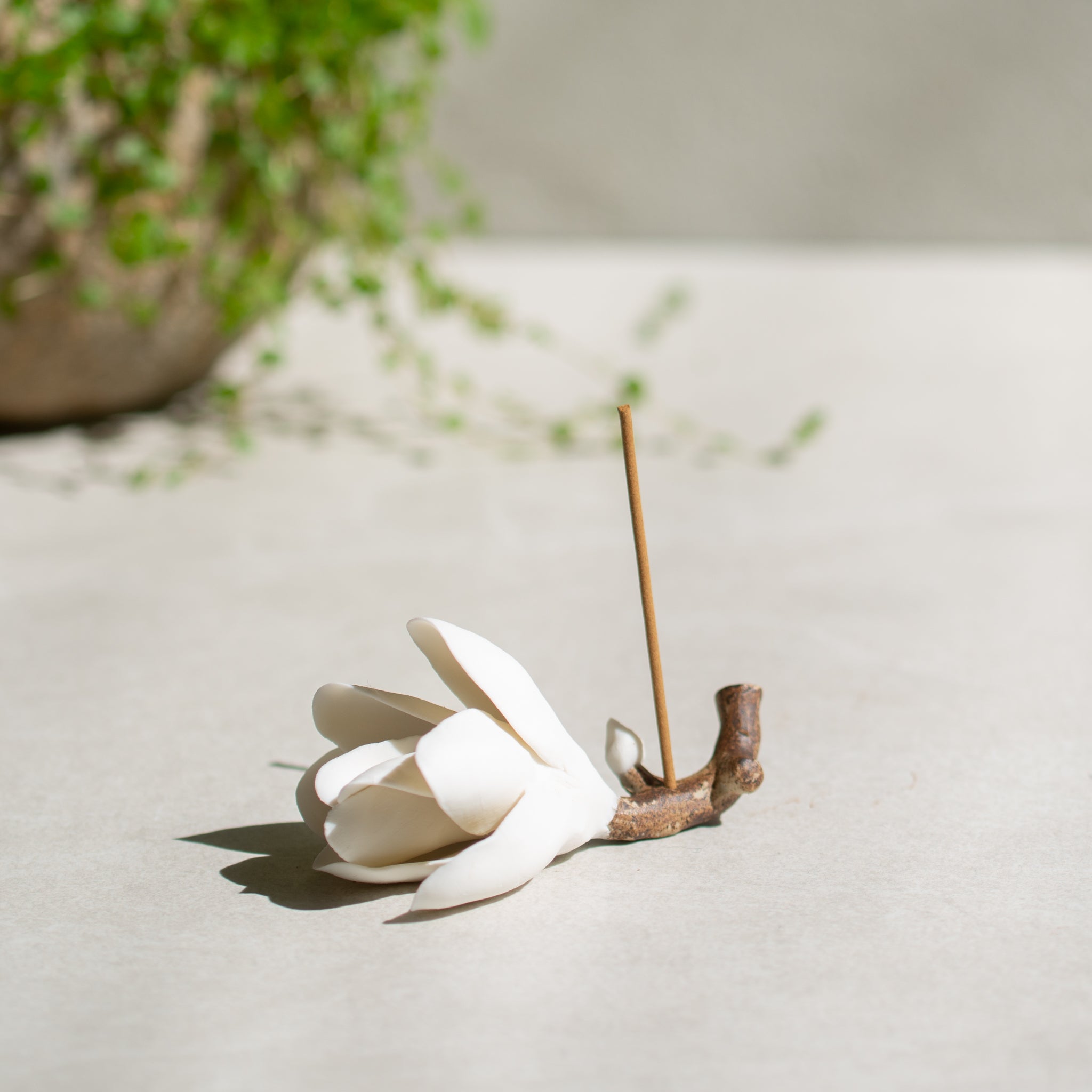 Incense Holder | Porcelain Magnolia