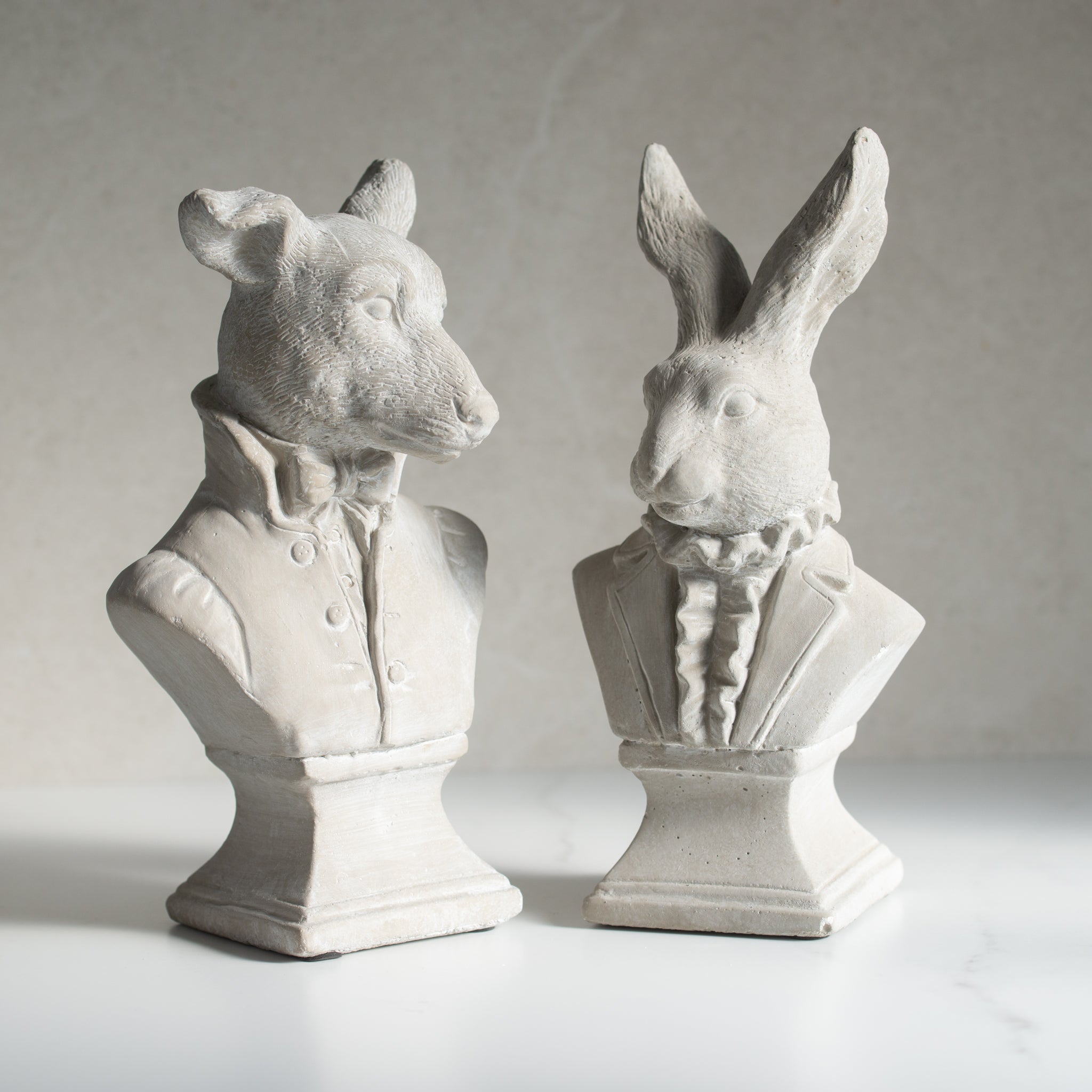 The Dog + The Rabbit