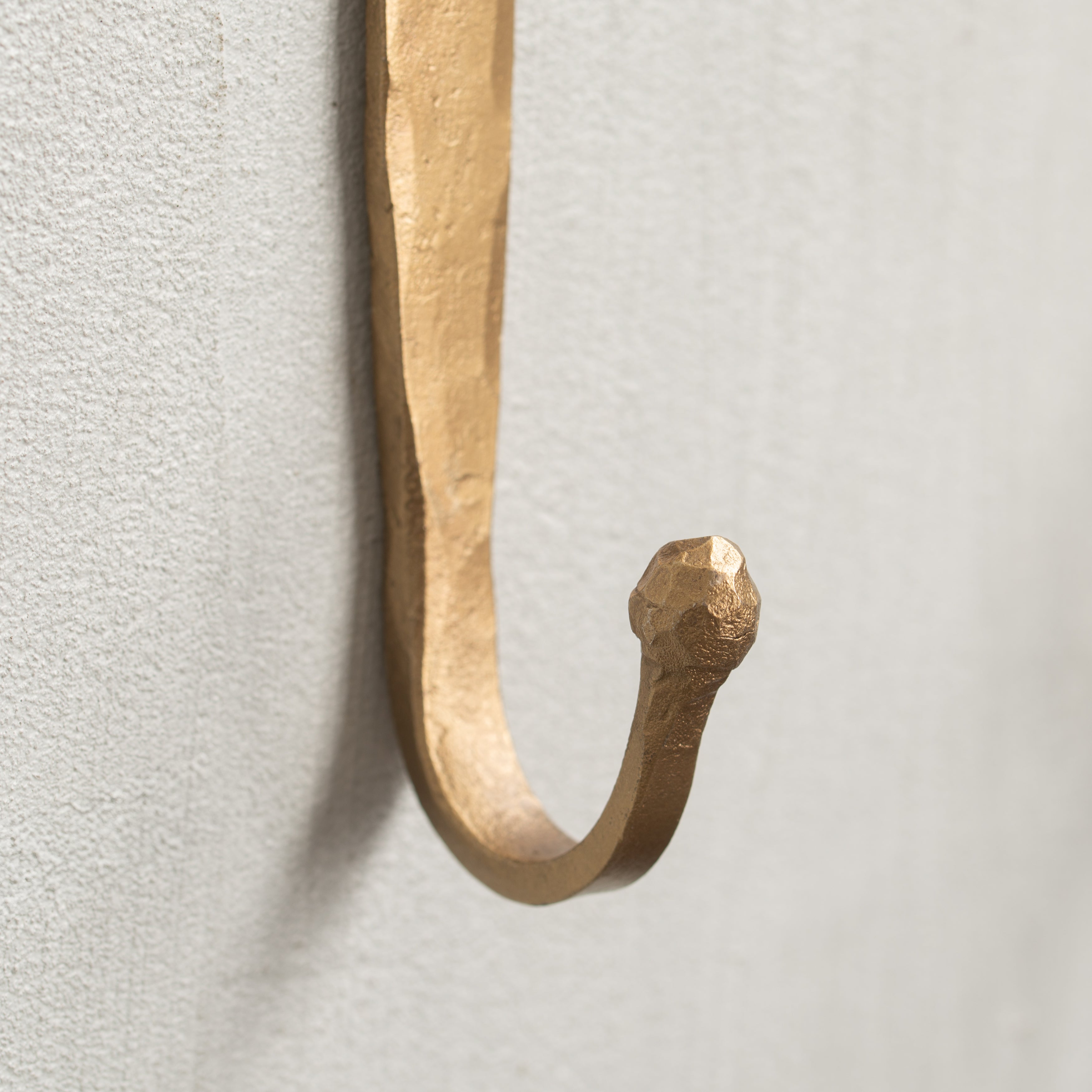 Forged | Roa Wall Hook | Antique Finish