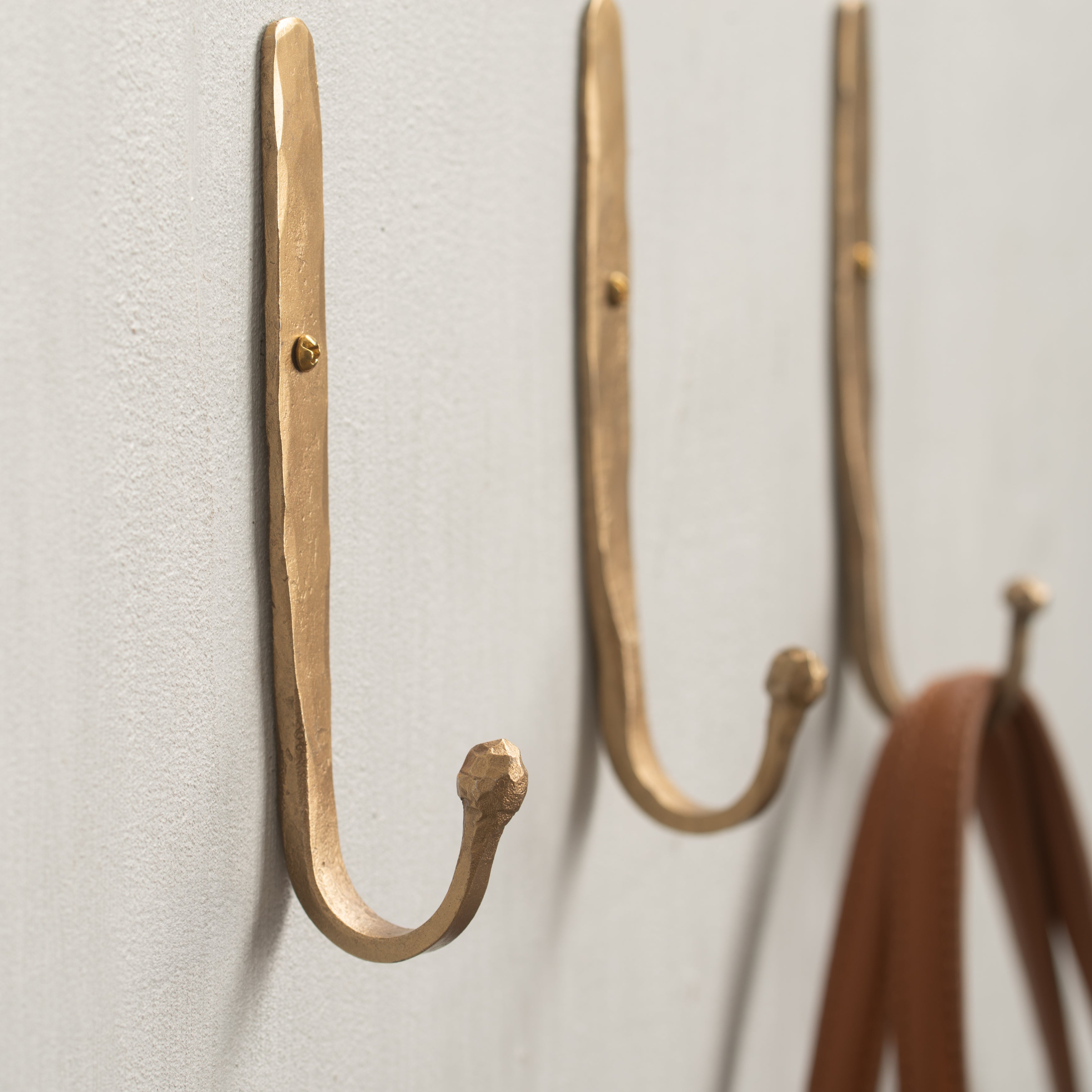 Forged | Roa Wall Hook | Antique Finish