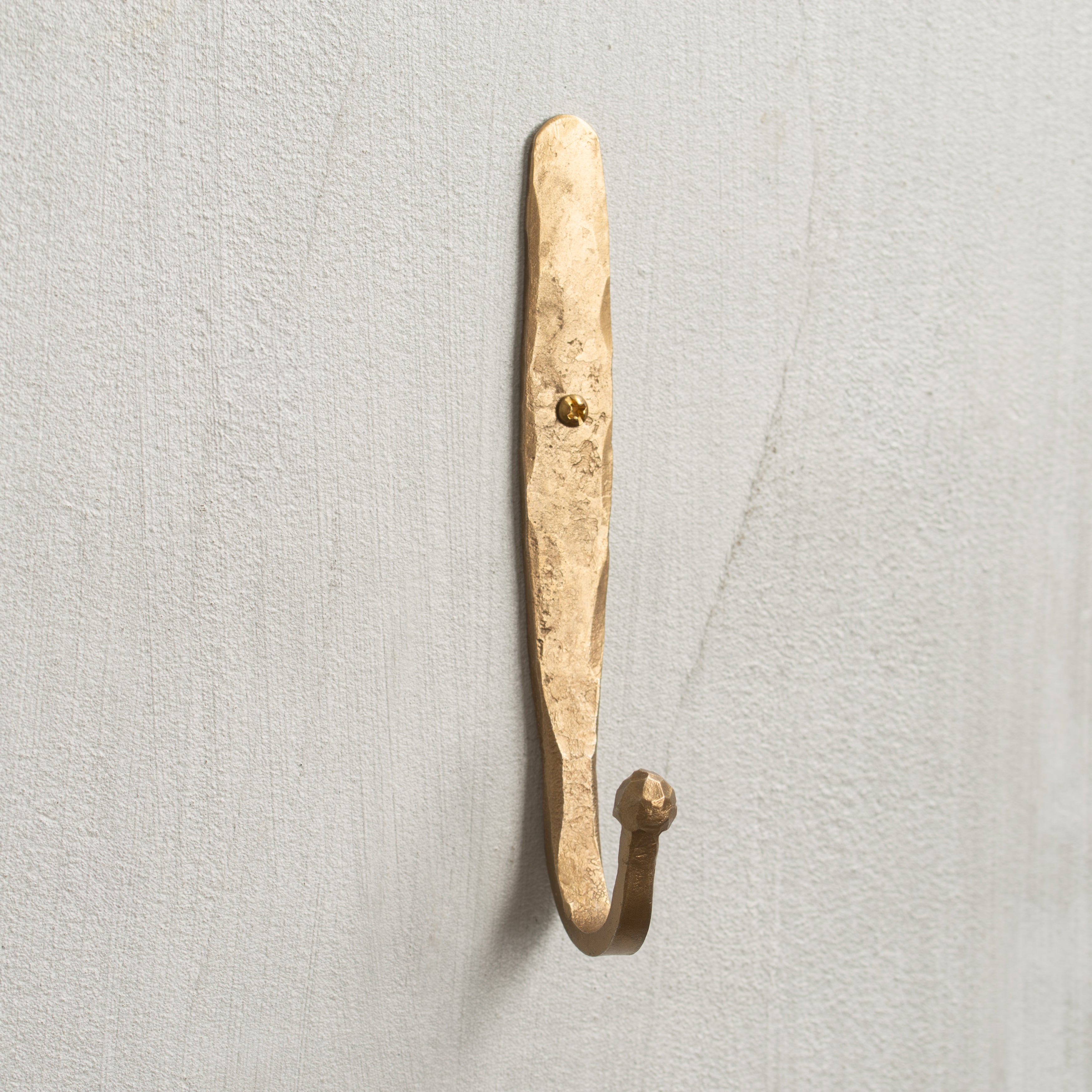 Forged | Roa Wall Hook | Antique Finish