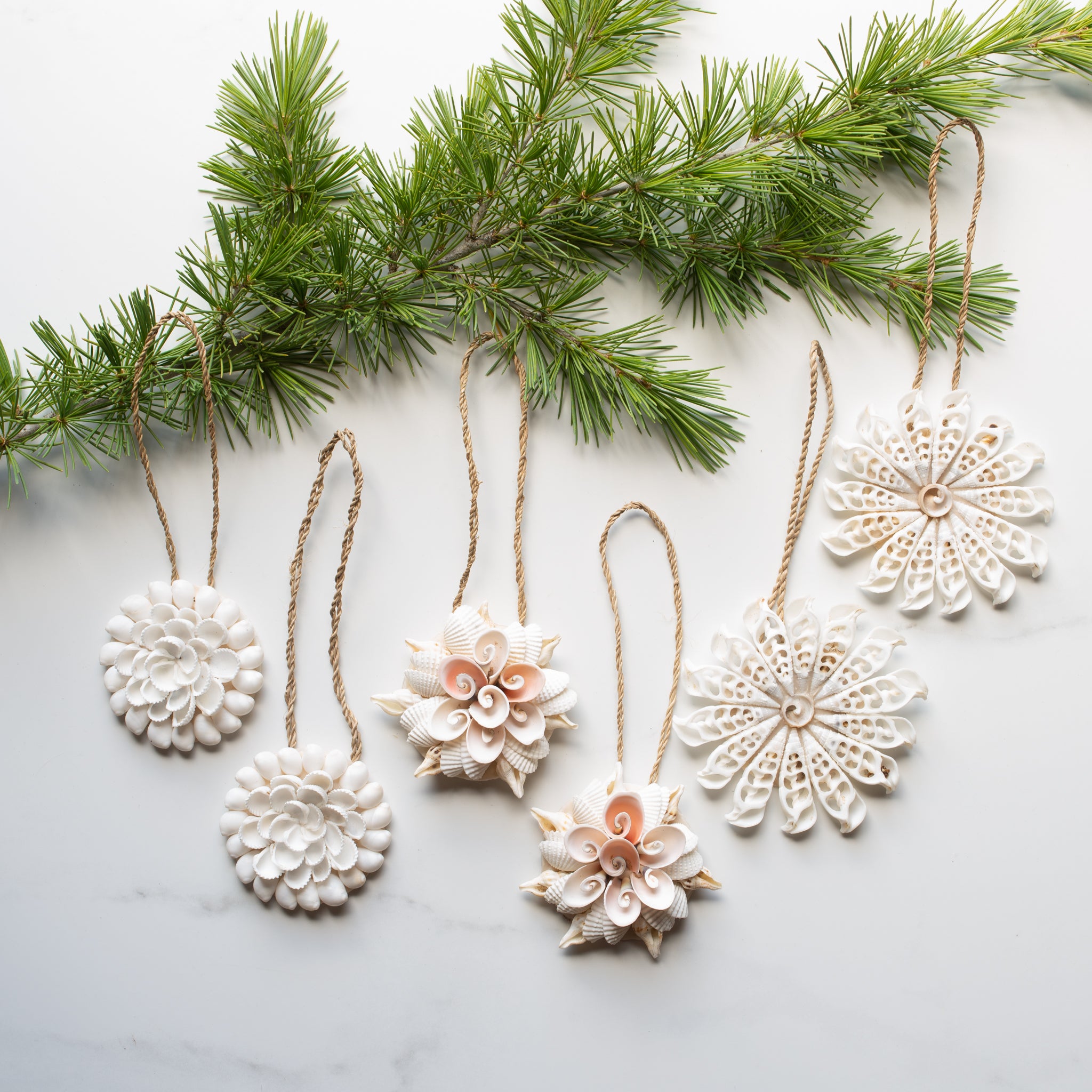 Shell Decorations | 6 Assorted Pieces