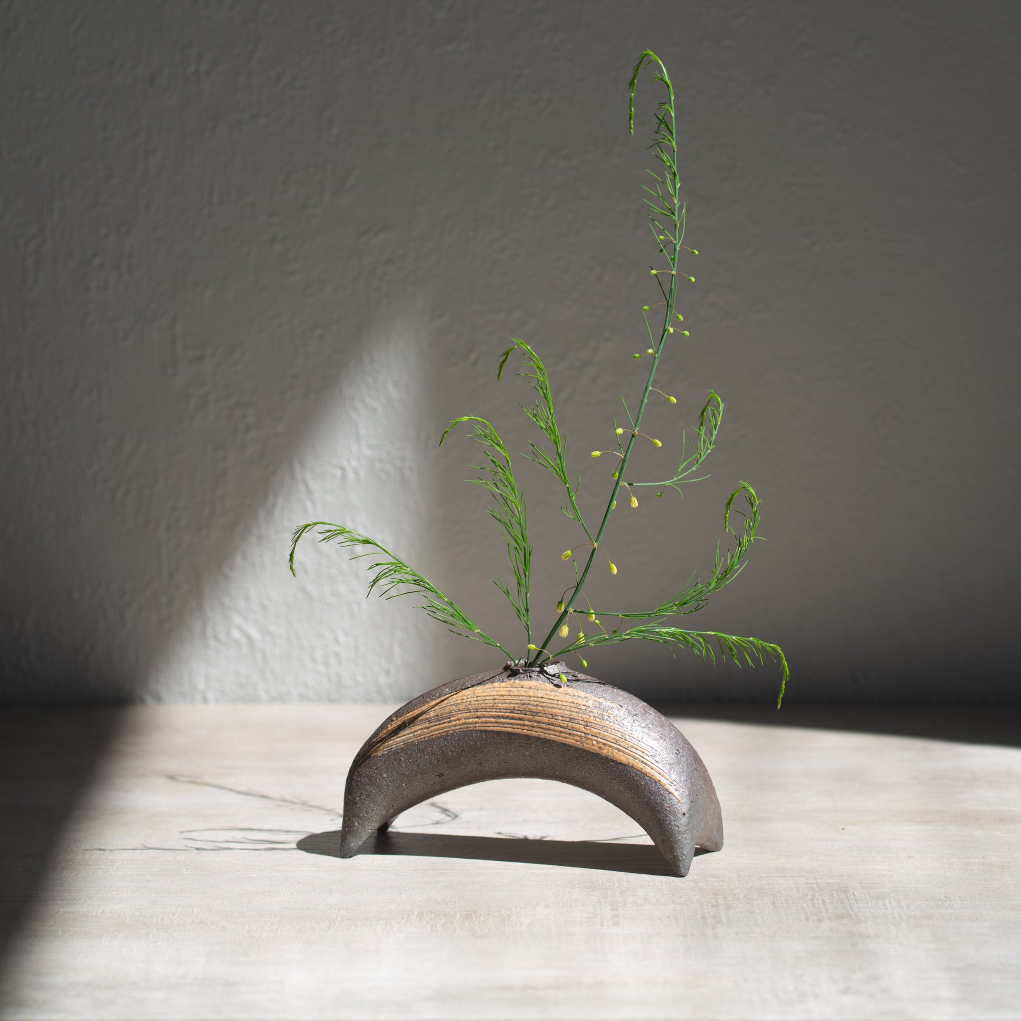 Japanese Ceramics | Shigaraki Vase | Bridge Kuro