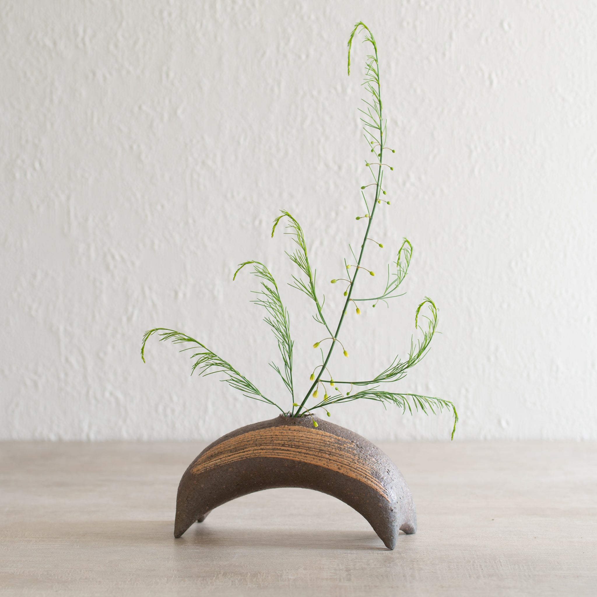 Japanese Ceramics | Shigaraki Vase | Bridge Kuro