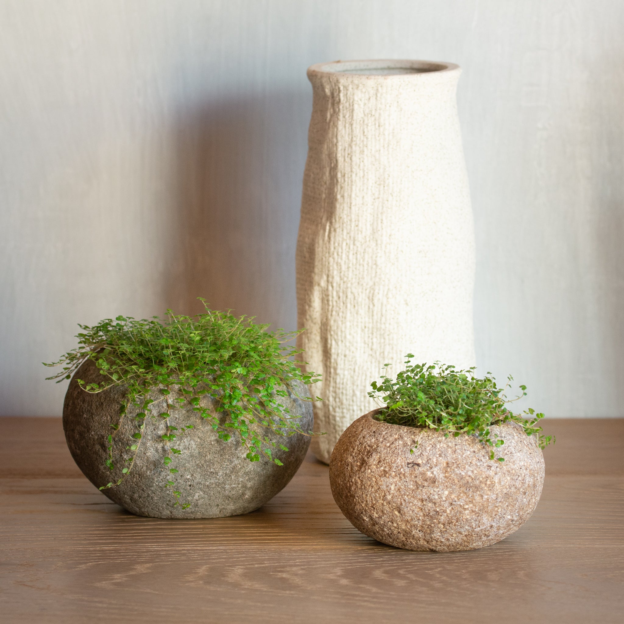 natural stone plant pots Stone Planter Pot - Hollow Rock Planter