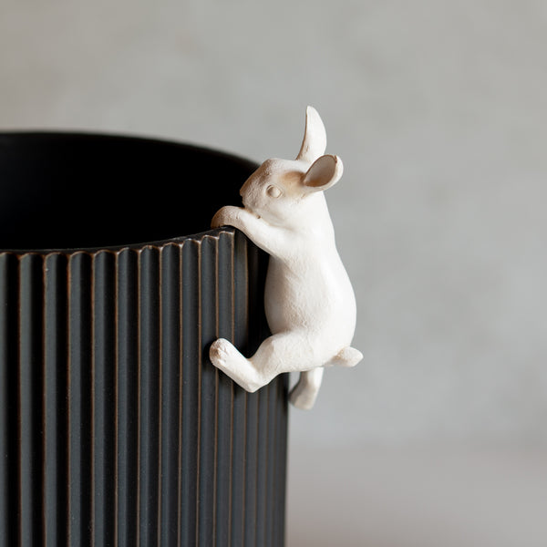 Little Climbing Bunny | White