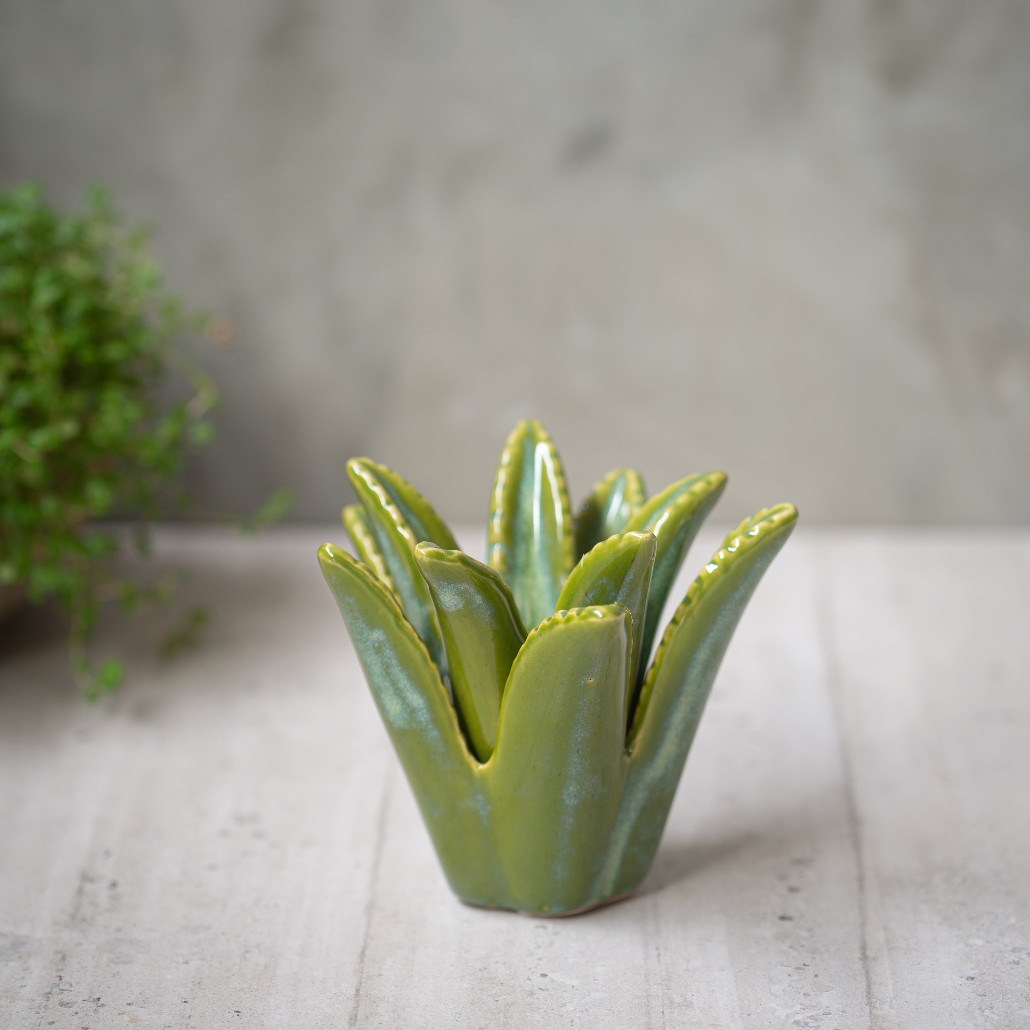 Ceramic Candle Holder | Aloe Vera