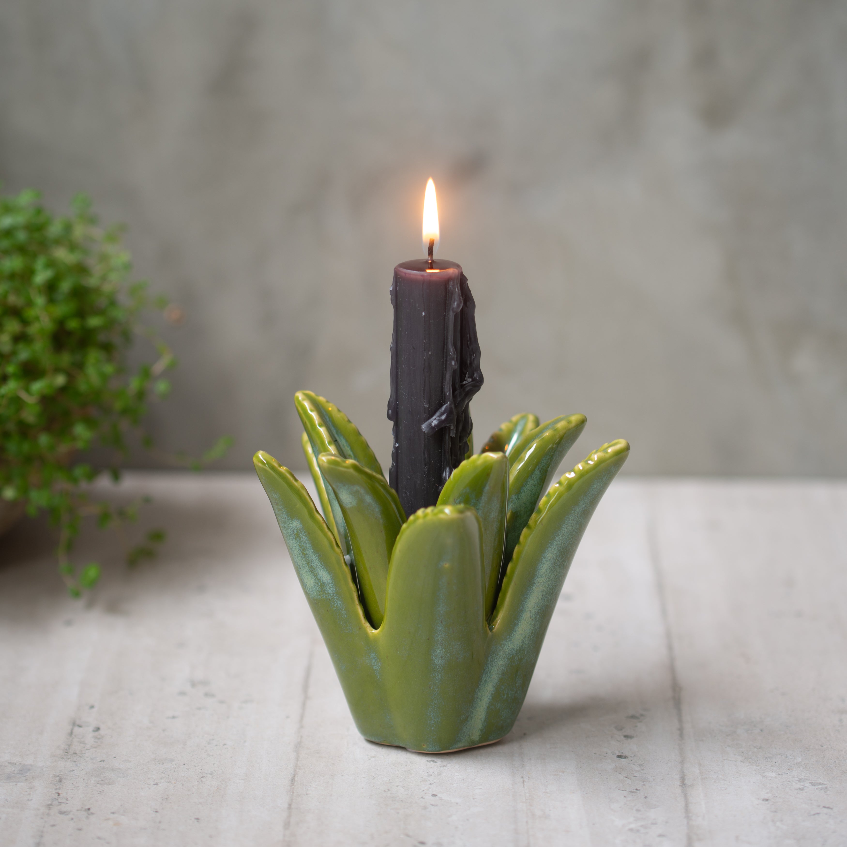 Ceramic Candle Holder | Aloe Vera