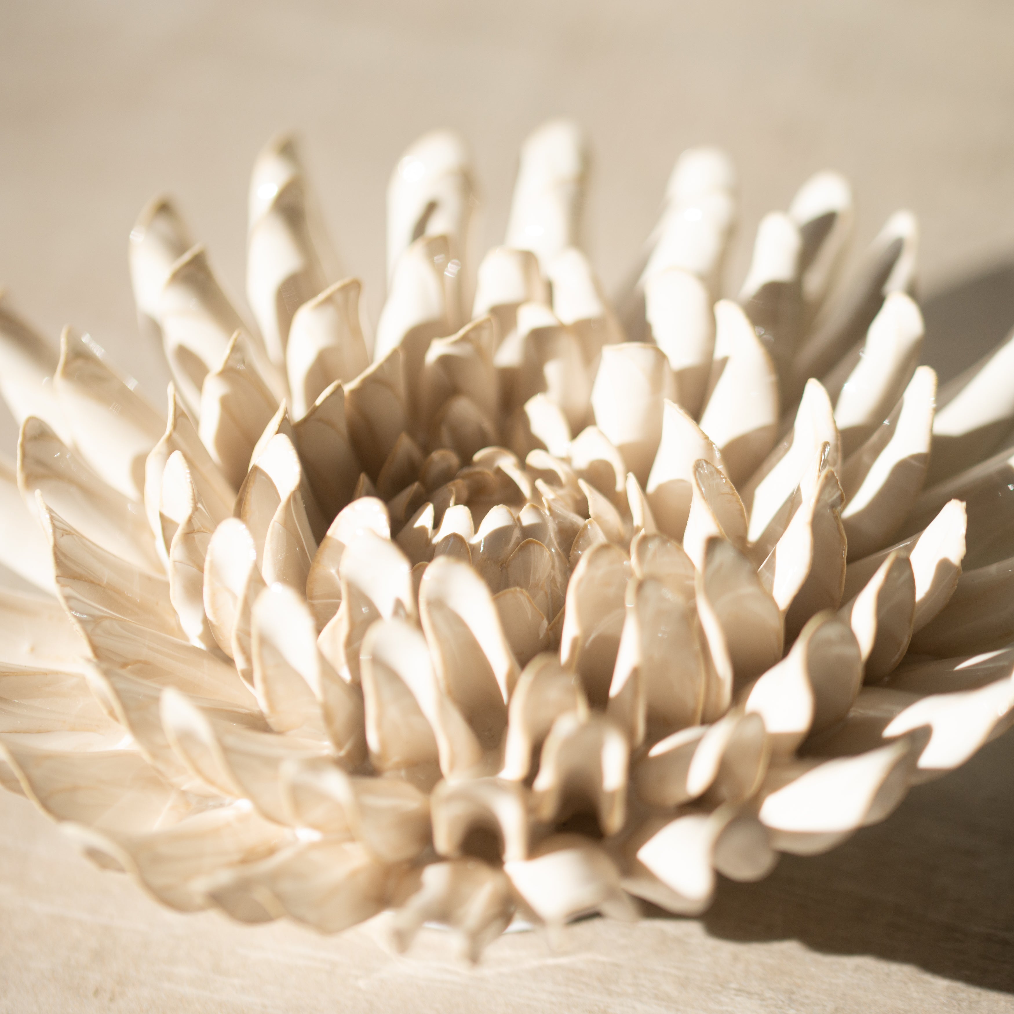 Ceramic Chrysanthemum | Winter White
